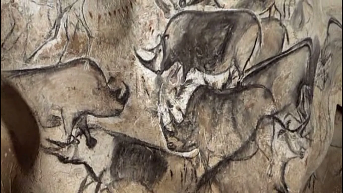 Chauvet cave rhinos, charcoal on stone